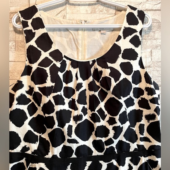 Loft Printed Dress - Picture 7 of 11